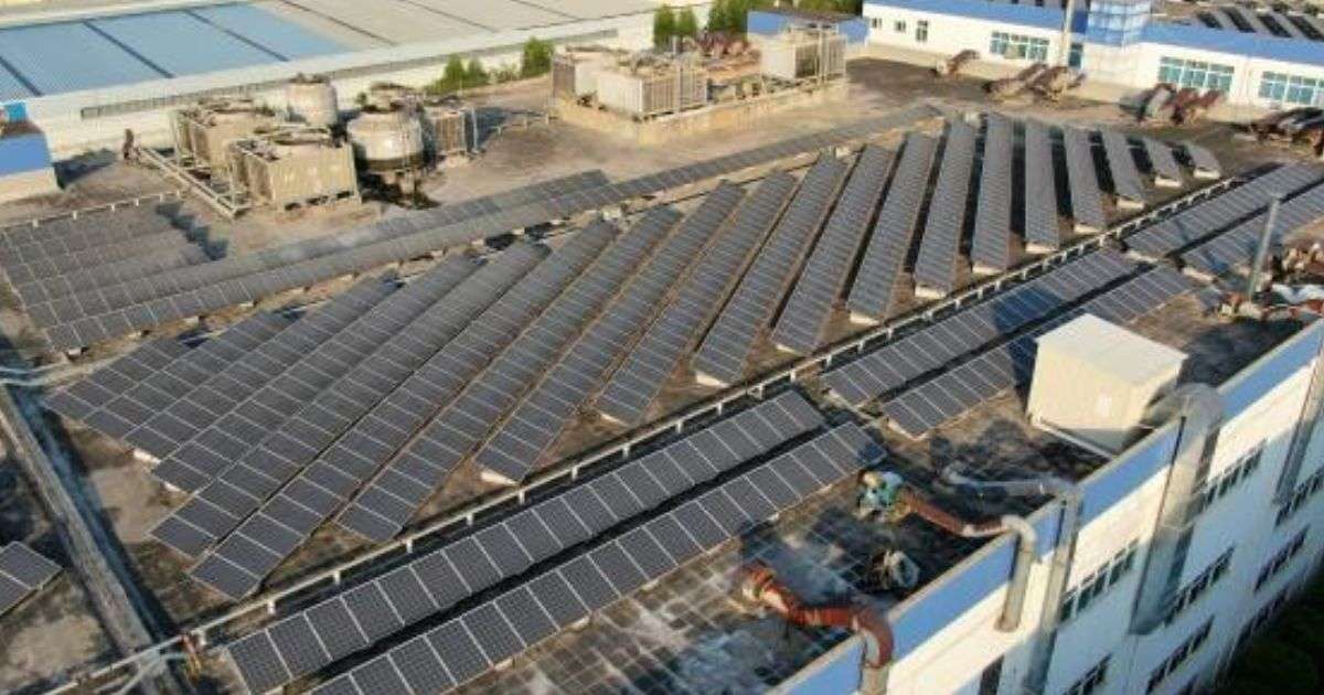 Livoltek Pakistan: Wholesale Support